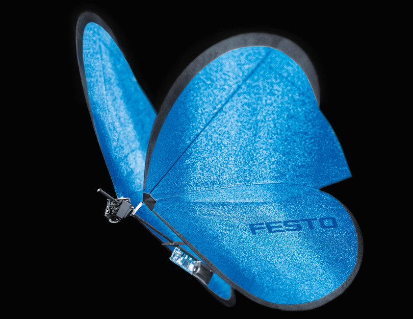 7 robot lấy cảm hứng từ động vật 6