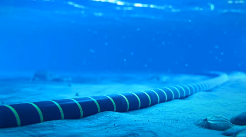 Cáp quang ngầm đáy biển. Ảnh minh họa Tech Wire Asia.