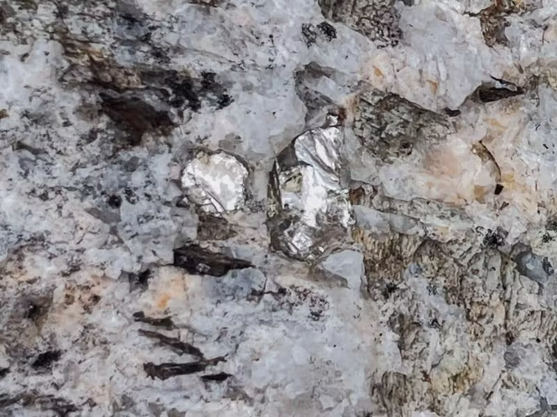 Tia sáng lấp lánh của kim loại liti màu trắng bạc trong đá ở khu mỏ Snow Lake Lithium. Ảnh New Atlas