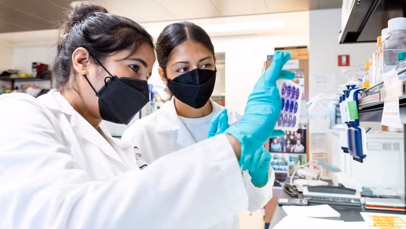 Sonali Chaturvedi (trái) và Daniela Lopez (phải) trong phòng thí nghiệm của Leor Weinberger tại Viện Gladstone. Ảnh: Michael Short / Viện Gladstone