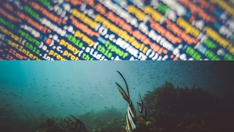 Ảnh minh họa. EuroNews