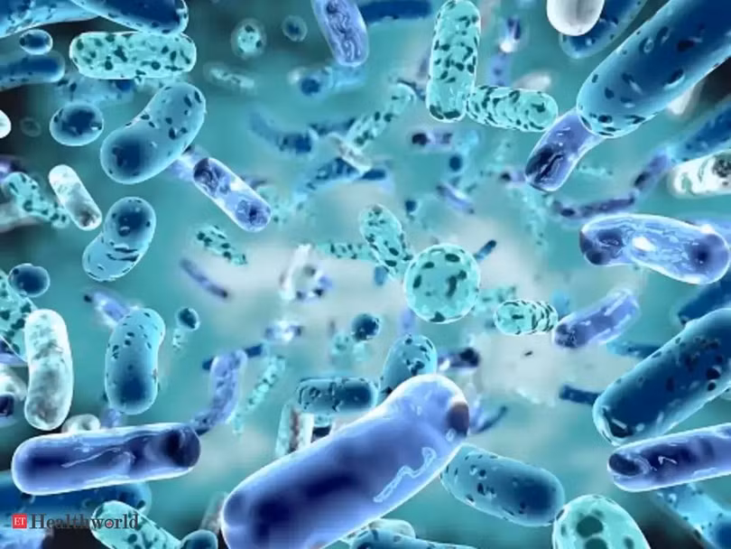 Hợp chất tự nhiên hydroquinine có hoạt tính tiêu diệt cả các loại vi khuẩn kháng thuốc. Ảnh Heathworld.