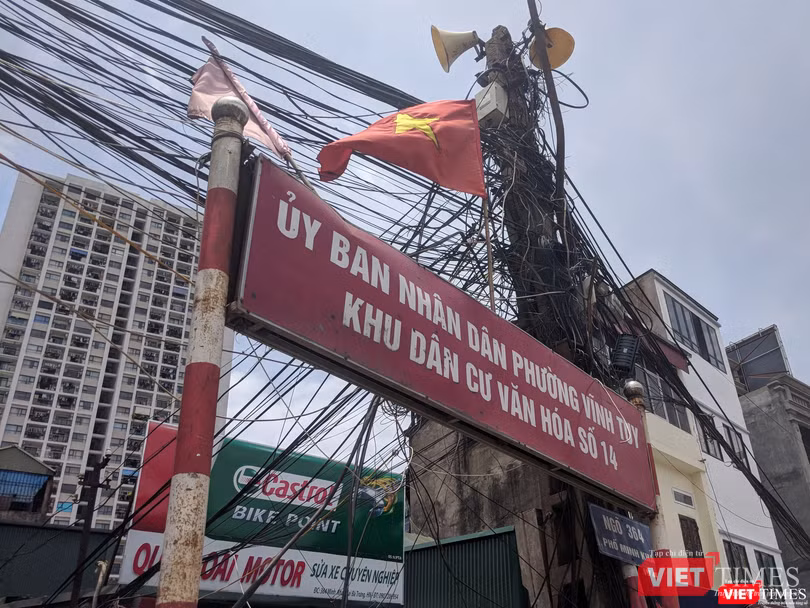 Một cây cột điện cao tuổi, chi chít nhánh ngay trước khu dân cư văn hóa.