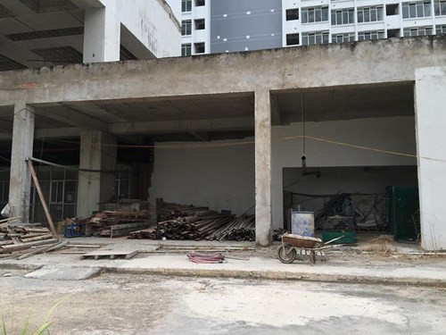 Người dân mua căn hộ kêu cứu ông Đinh La Thăng ảnh 1