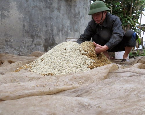 Anh em ông Đoàn Văn Vươn: Đàn vịt biển “và con tim đã vui trở lại“ ảnh 1 Anh em ông Đoàn Văn Vươn, người đàn ông 'vịt biển' của gia đình - ảnh 1