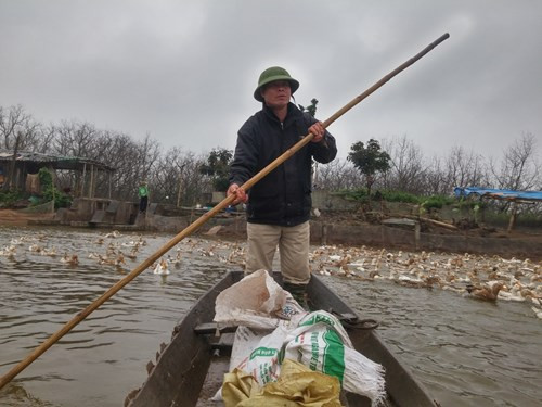 Anh em ông Đoàn Văn Vươn: Đàn vịt biển “và con tim đã vui trở lại“ ảnh 2 Anh em ông Đoàn Văn Vươn, người đàn ông 'vịt biển' của gia đình - ảnh 2