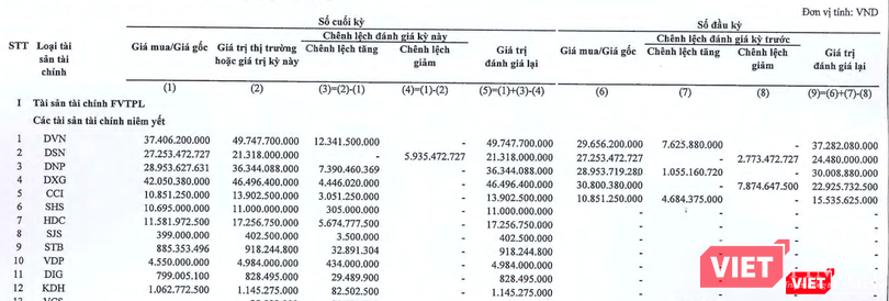 DVN, DSN, DXG đều là các khoản đầu tư lớn của NSI