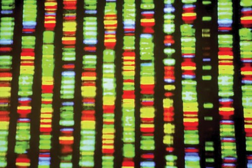 Alphabet 2016: Những dự án không tưởng đang trở nên hiện thực ảnh 15