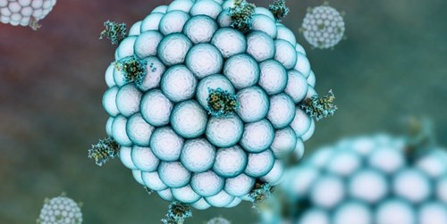 Alphabet 2016: Những dự án không tưởng đang trở nên hiện thực ảnh 9