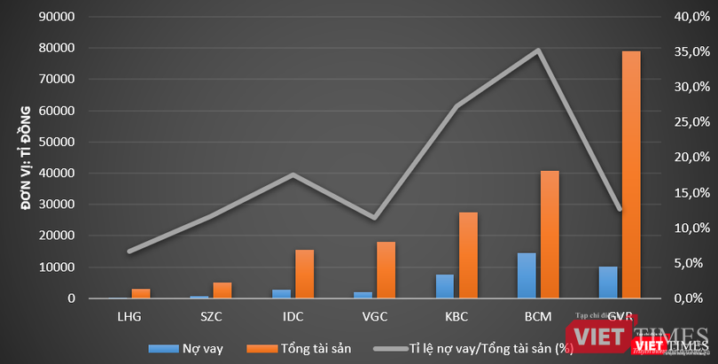 Tỉ lệ nợ vay trên tổng tài sản tại ngày 30/6/2021 của một số doanh nghiệp hoạt động trong lĩnh vực bất động sản khu công nghiệp