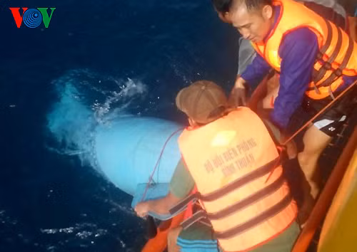 Các chiến sĩ tham gia cứu hộ, cứu nạn vớt mảnh vỡ máy baySu-22. Ảnh:VOV