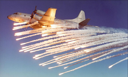 Tổng thống Mỹ Obama có thể thăm Việt Nam năm nay ảnh 2