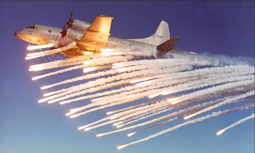 Tổng thống Mỹ Obama có thể thăm Việt Nam năm nay ảnh 2