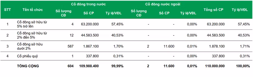 Sau khi Bộ Xây dựng thoái vốn, tính đến 31/12/2020, CC1 có 12 cổ đông gần lớn, sở hữu từ 2% đến 5% vốn điều lệ