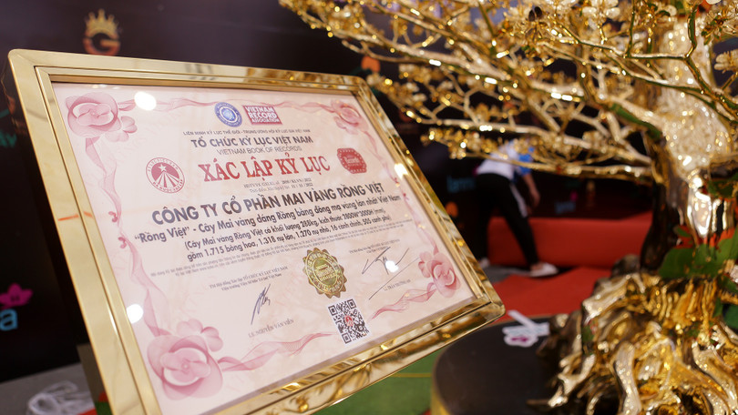 Cây mai này được xác lập kỷ lục cây mai mạ vàng lớn nhất Việt Nam. (Ảnh: Thanh Niên) Cây mai này được xác lập kỷ lục cây mai mạ vàng lớn nhất Việt Nam. (Ảnh: Thanh Niên)