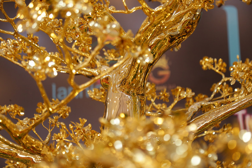 Ảnh: Thanh Niên Ảnh: Thanh Niên