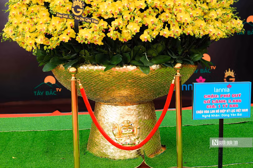 (Ảnh: Người đưa tin)