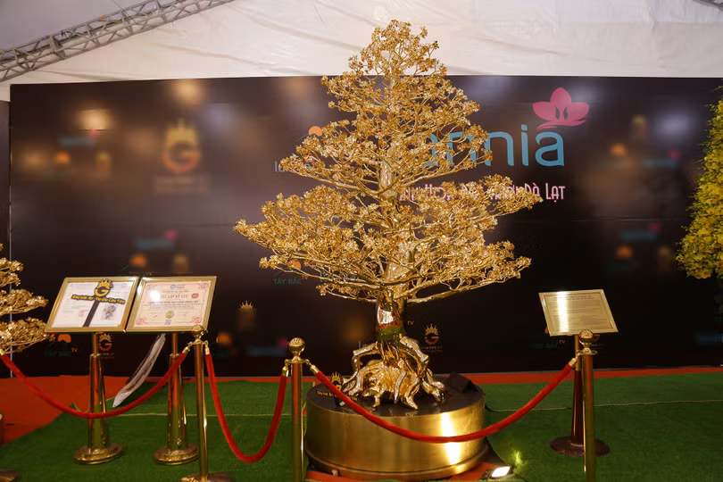 Cây mai đúc đồng mạ vàng 24K được giao bán với giá gần 6 tỷ đồng (Ảnh: Thanh Niên)