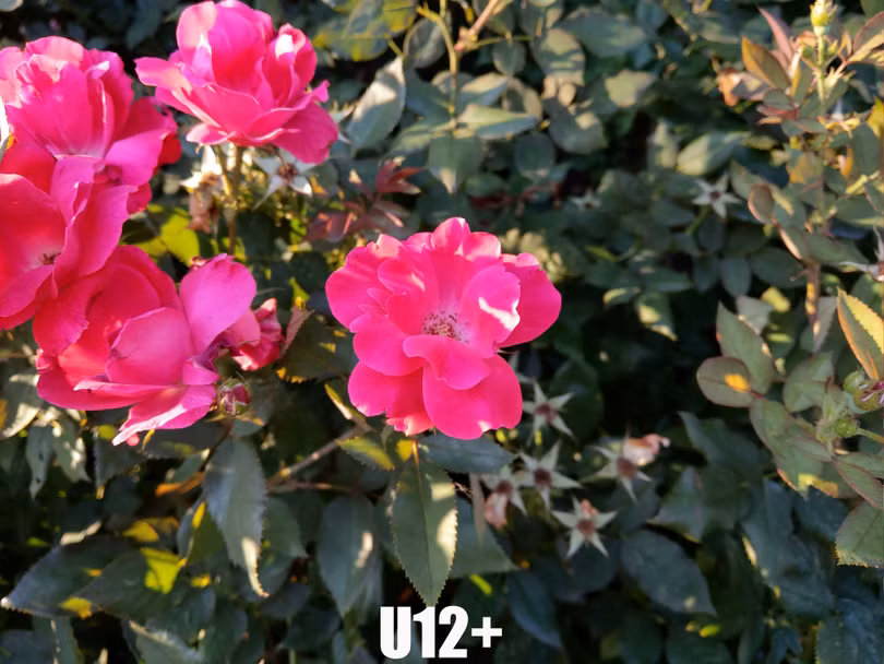 HTC U12+: Cái kết dang dở cho một tượng đài? ảnh 6