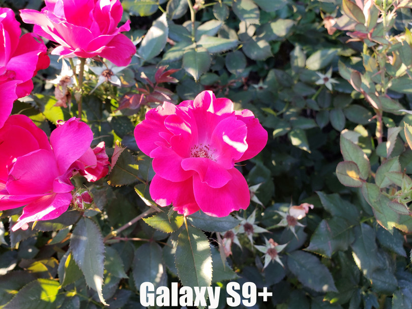 HTC U12+: Cái kết dang dở cho một tượng đài? ảnh 5