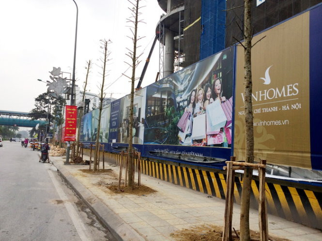 Cây trồng thay thế sau đó được xác định là cây mỡ. Tuy nhiên hiện nay số cây thay thế này lại chuẩn bị được thay thế tiếp - Ảnh: Lâm Hoài Cây trồng thay thế sau đó được xác định là cây mỡ. Tuy nhiên hiện nay số cây thay thế này lại chuẩn bị được thay thế tiếp - Ảnh: Lâm Hoài