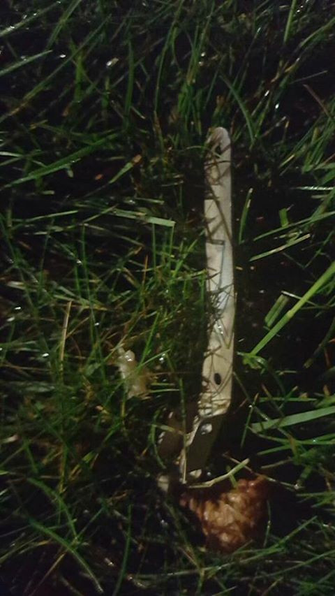 Nổ trong tòa đại sứ Mỹ ở Kiev, Ukraine (video) ảnh 2