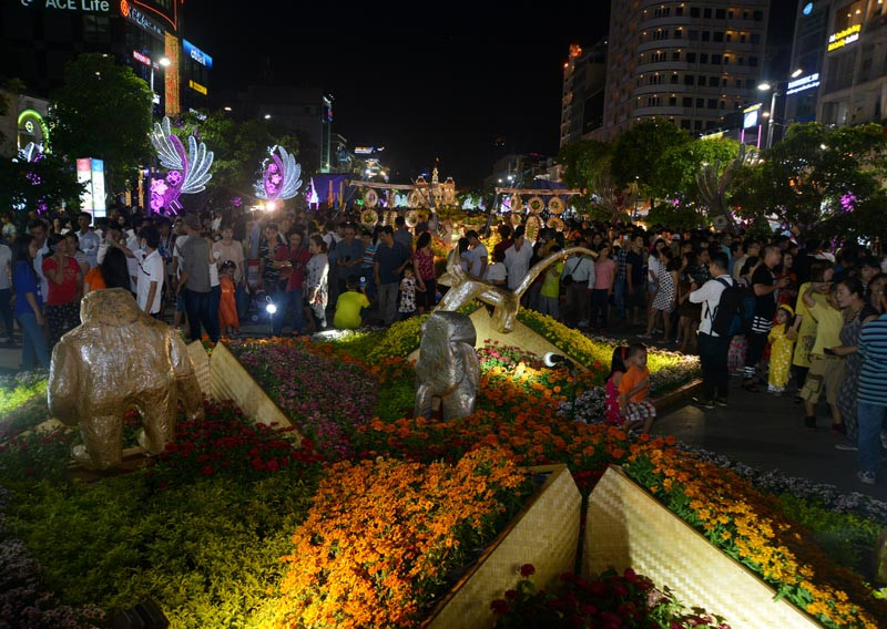 Tân Bí thư Đinh La Thăng dạo đường hoa, chụp selfie với người Sài Gòn ảnh 9