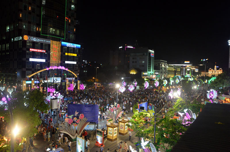 Tân Bí thư Đinh La Thăng dạo đường hoa, chụp selfie với người Sài Gòn ảnh 8