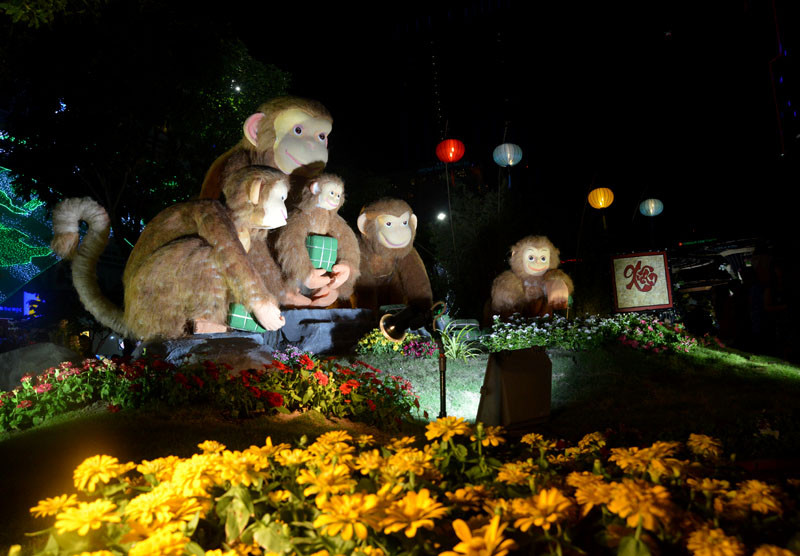 Tân Bí thư Đinh La Thăng dạo đường hoa, chụp selfie với người Sài Gòn ảnh 18