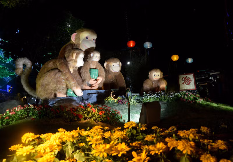 Tân Bí thư Đinh La Thăng dạo đường hoa, chụp selfie với người Sài Gòn ảnh 18