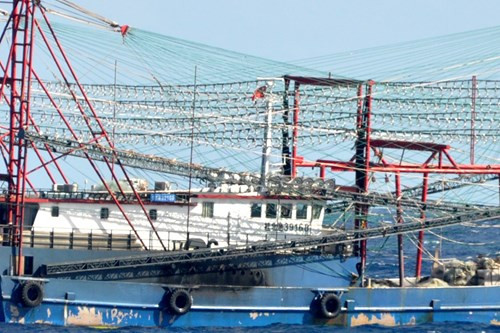 Tàu Trung Quốc tăng đột biến quanh bãi ngầm thuộc Bà Rịa-Vũng Tàu ảnh 7