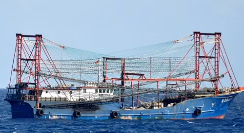 Tàu Trung Quốc tăng đột biến quanh bãi ngầm thuộc Bà Rịa-Vũng Tàu ảnh 3