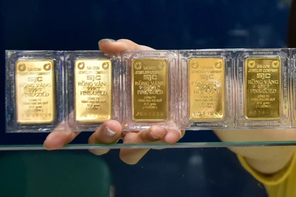 Giá vàng hôm nay.