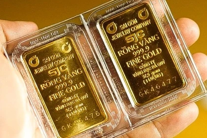 Giá vàng hôm nay.