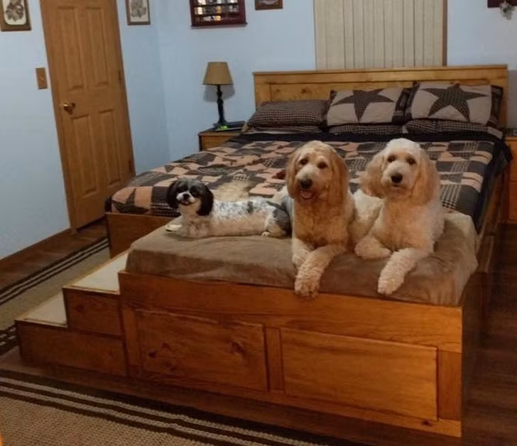 Ảnh: BrightSide Ảnh: BrightSide