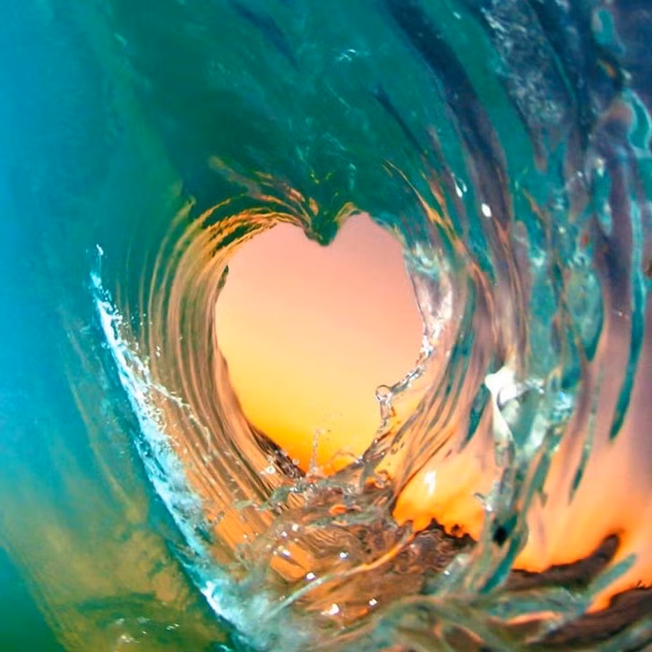 Ảnh: BrightSide Ảnh: BrightSide