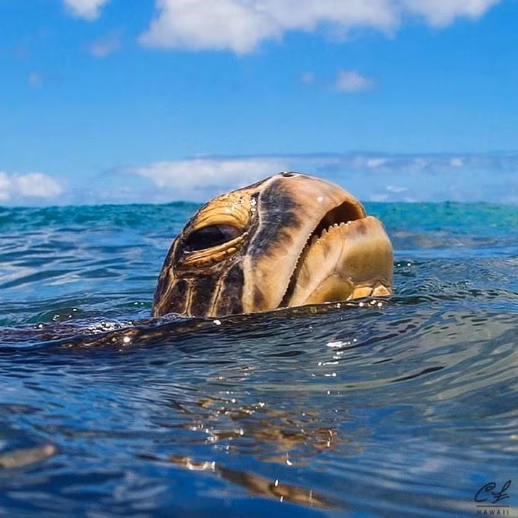 Ảnh: BrightSide Ảnh: BrightSide