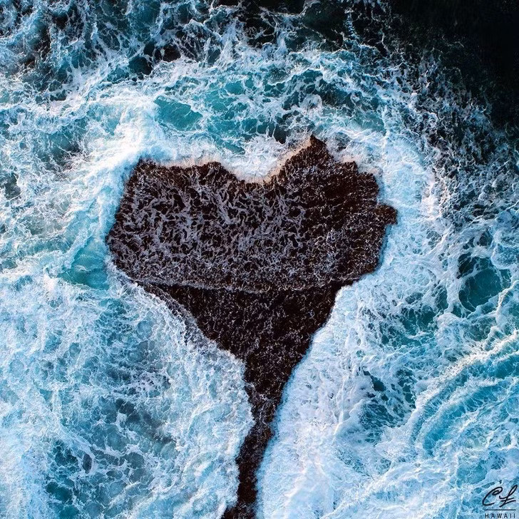 Ảnh: BrightSide Ảnh: BrightSide