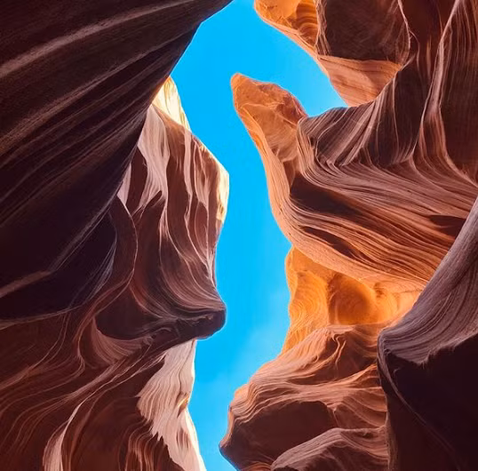 Ảnh: BrightSide Ảnh: BrightSide