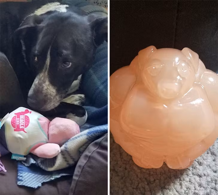 Ảnh: BrightSide Ảnh: BrightSide