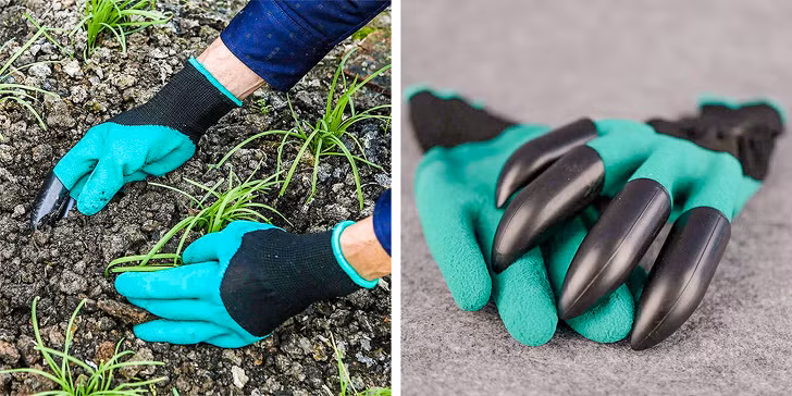 Ảnh: BrightSide Ảnh: BrightSide