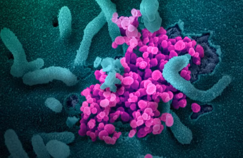 Một quan chức cho rằng các bên thù địch có thể không cần chỉnh sửa virus corona chủng mới, bởi điều đó để lại dấu vết (Ảnh: EPA)