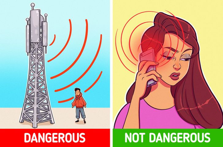 Ảnh: BrightSide Ảnh: BrightSide