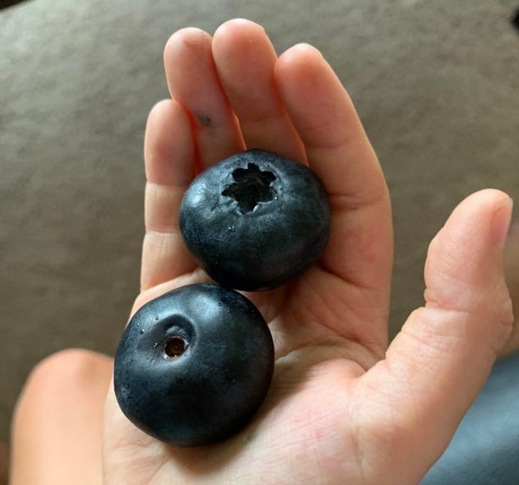 Ảnh: BrightSide Ảnh: BrightSide