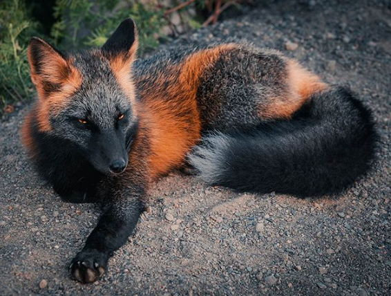 Ảnh: BrightSide Ảnh: BrightSide