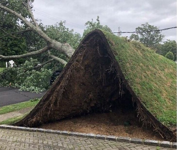 Ảnh: BrightSide Ảnh: BrightSide