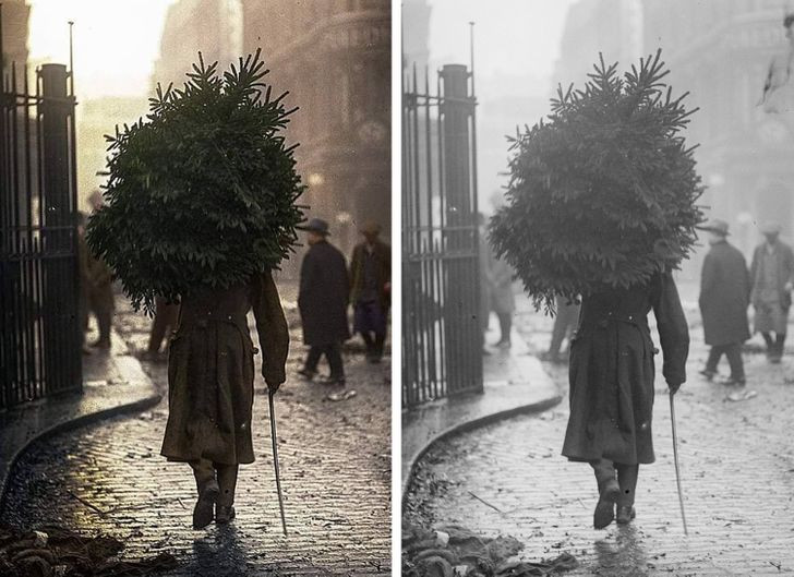 Ảnh: BrightSide Ảnh: BrightSide