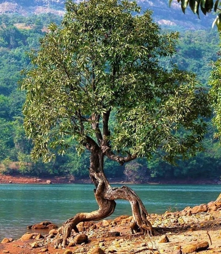 Ảnh: BrightSide Ảnh: BrightSide