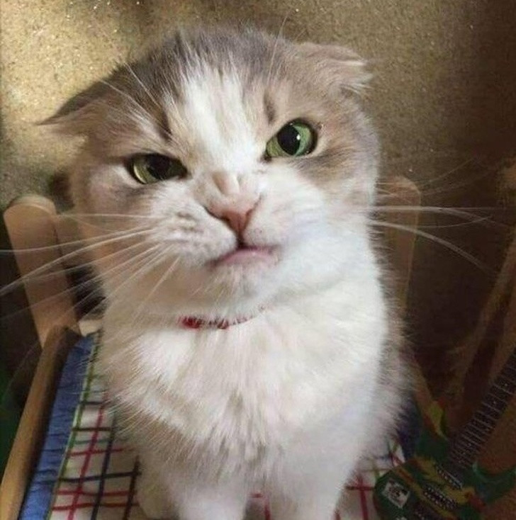 Ảnh: BrightSide Ảnh: BrightSide