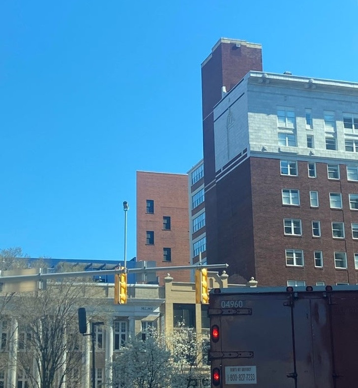 Ảnh: BrightSide Ảnh: BrightSide